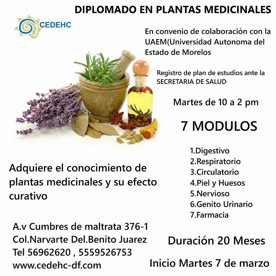 Diplomado En Plantas Medicinales Cedehc Df Diplomados Y Cursos En